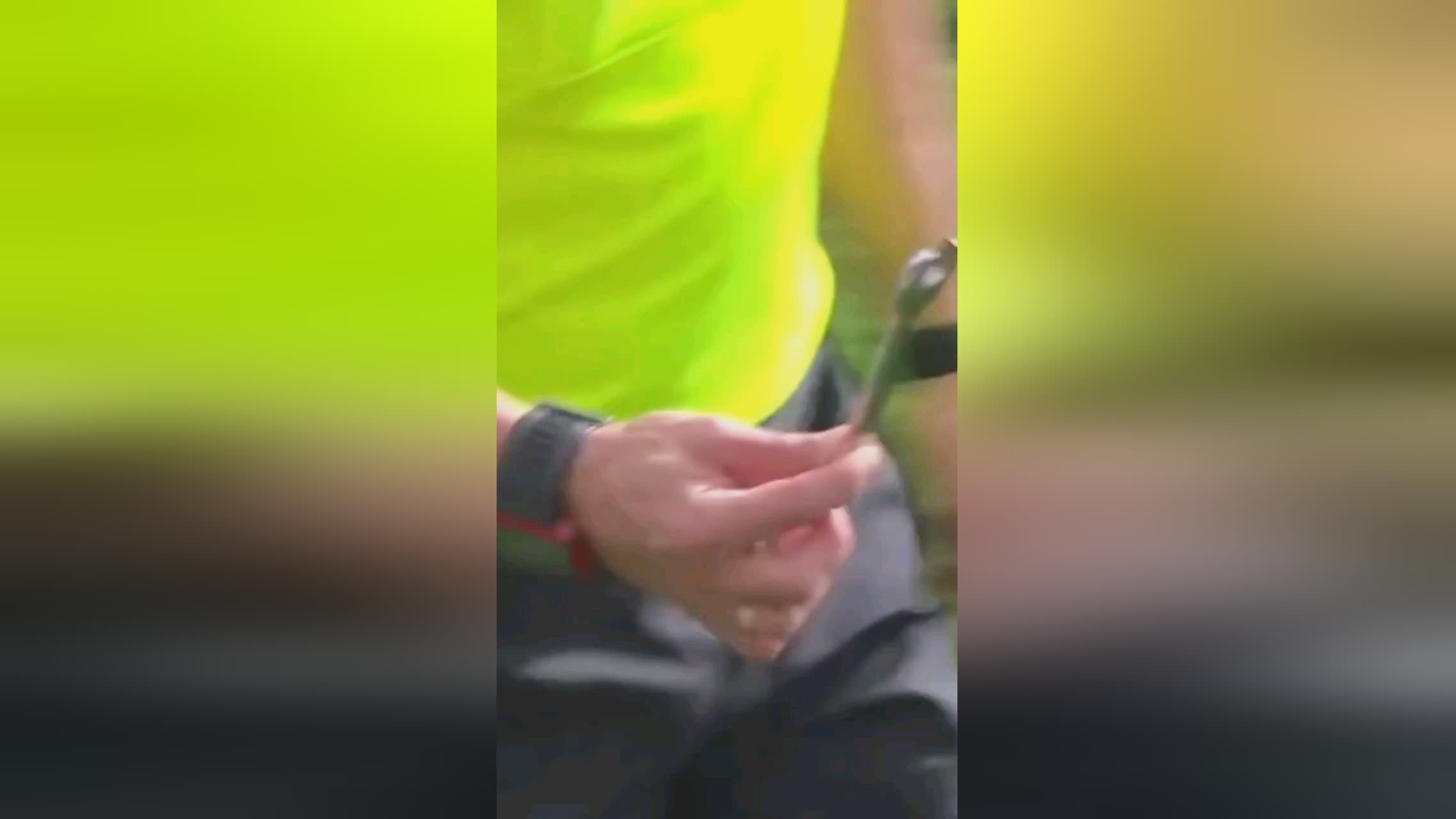 投入能否在